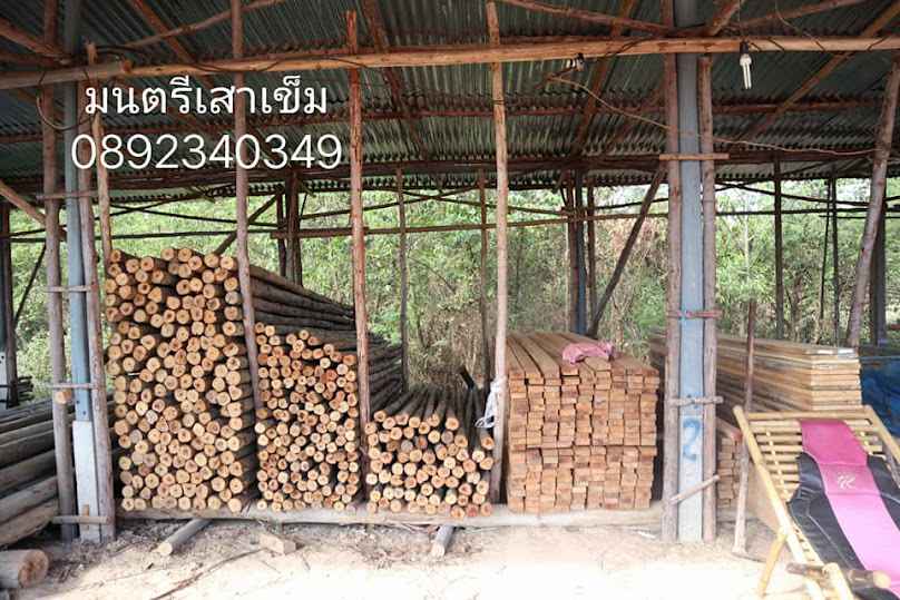 มนตรีเสาเข็ม จำหน่ายไม้ยูคา