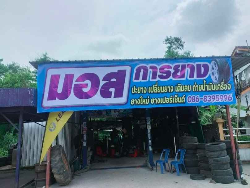มอสการยางแปดริ้ว