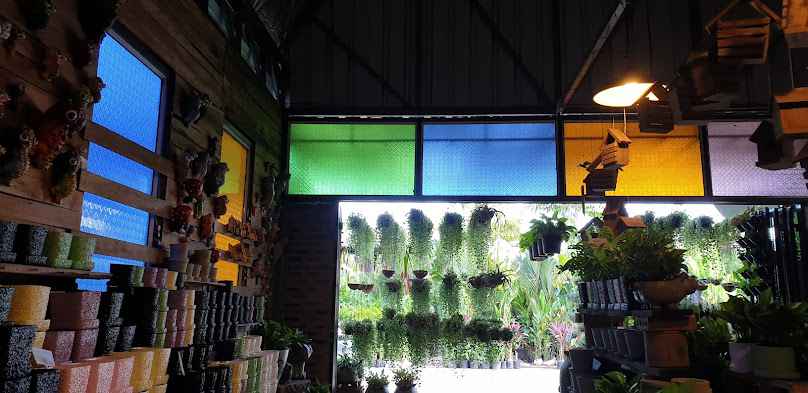 มีดี เชียงใหม่ Meedee Chiangmai กระถางปูน & มินิแพลนท์ ตลาดคำเที่ยง - 2