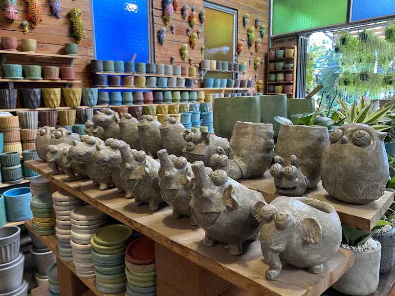 มีดี เชียงใหม่ Meedee Chiangmai กระถางปูน & มินิแพลนท์ ตลาดคำเที่ยง - 3