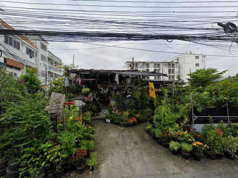 มุมชุ่มชื่น - ร้านขายต้นไม้ - 4