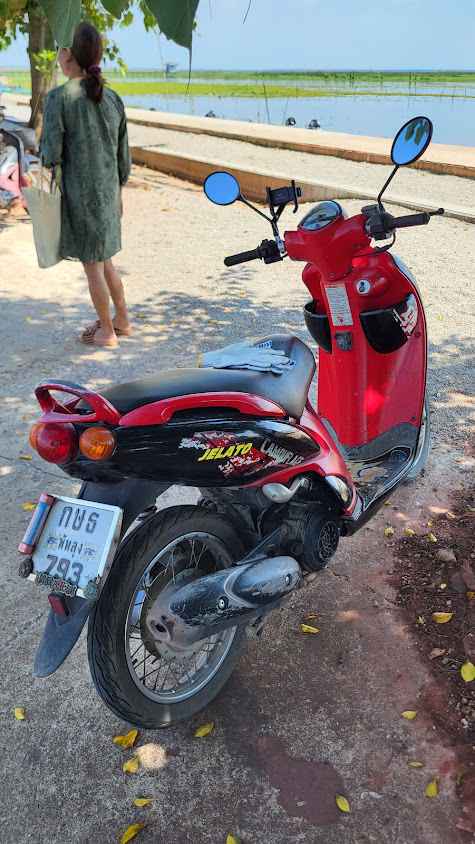 รถเช่าพัทลุง - 3
