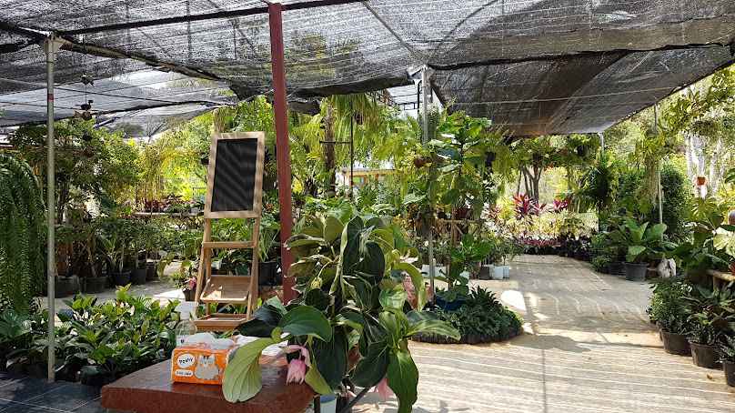รวีการ์เด้น - 4