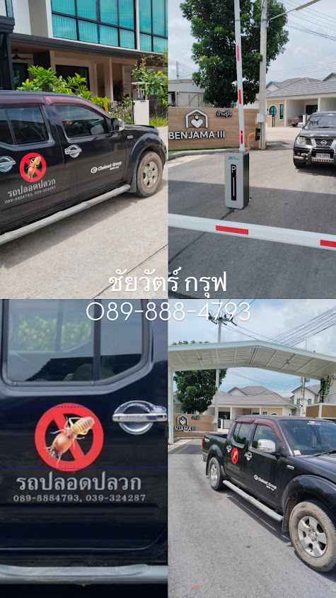 รับกำจัดปลวกจันทบุรี (บริษัทชัยวัตร์ กรุ๊ป) - 3