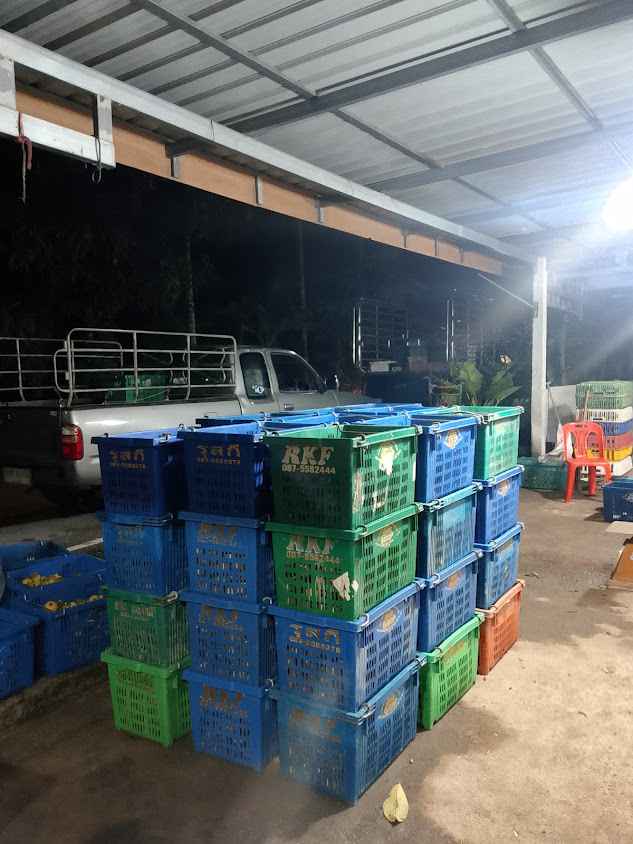 รับซื้อมังคุด - 2