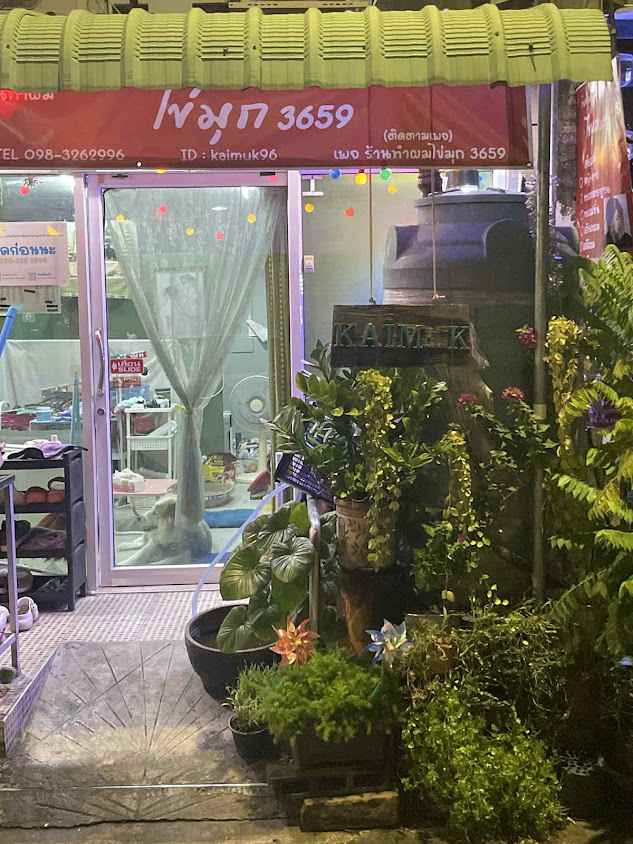 รีเควส แฮร์ สไตลลิส - 4