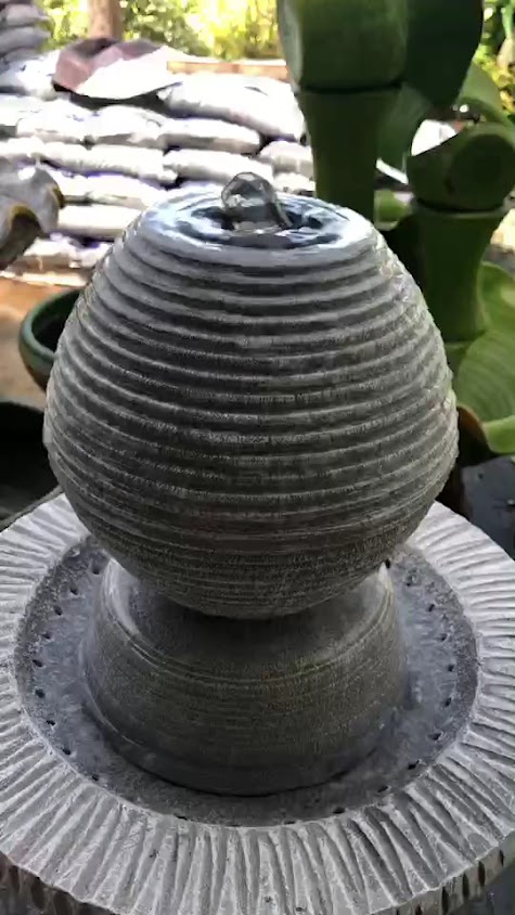 รุ่งตะวันพันธุ์ไม้ - 2