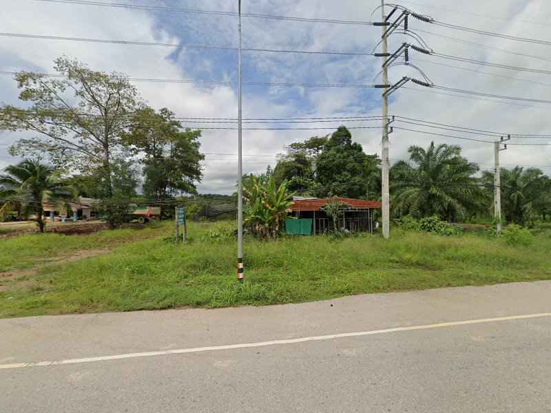รุ่งเรืองพันธ์ุไม้(เจ๊จิ๋ม) - 4
