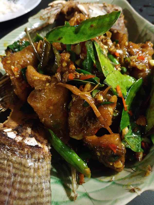 ร่องห้า เบียร์วุ้น & ฟิชชิ่งปาร์ค - 3