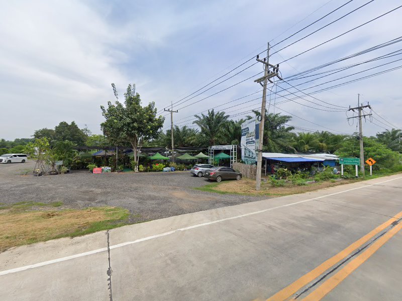 ร้านกระถาง ตลาดต้นไม้ ชีโอน - 2