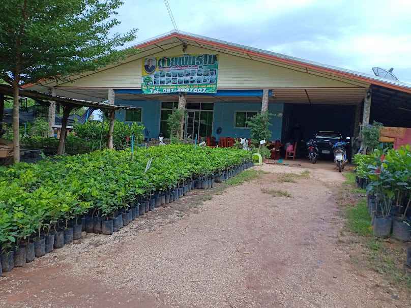 ร้านขายต้นไม้ภูอิงฟ้าฟาร์ม - 3