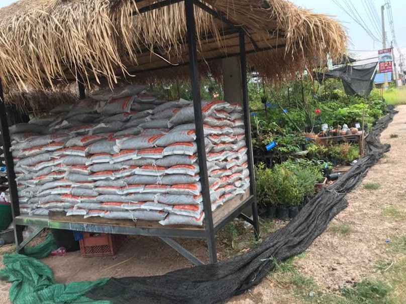 ร้านขายต้นไม้สูงเนิน(กังหันพันธุ์ไม้) - 3