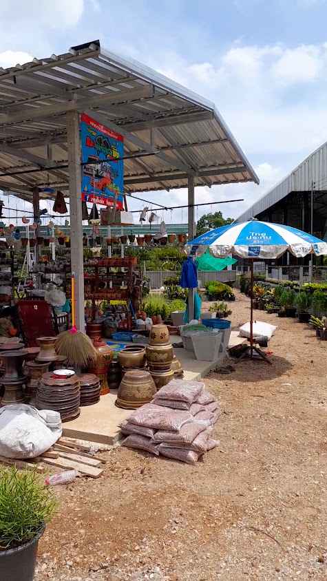 ร้านขายต้นไม้หนูไม้ประดับ - 4