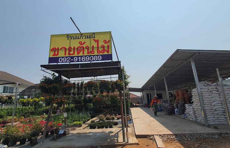 ร้านขายต้นไม้แก้วมณี