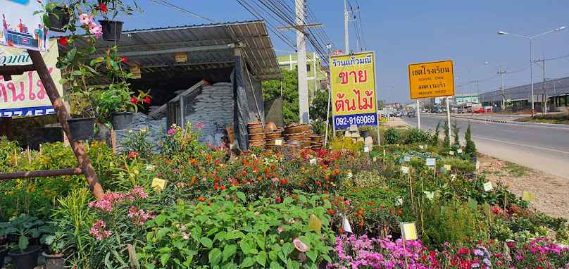 ร้านขายต้นไม้แก้วมณี - 3