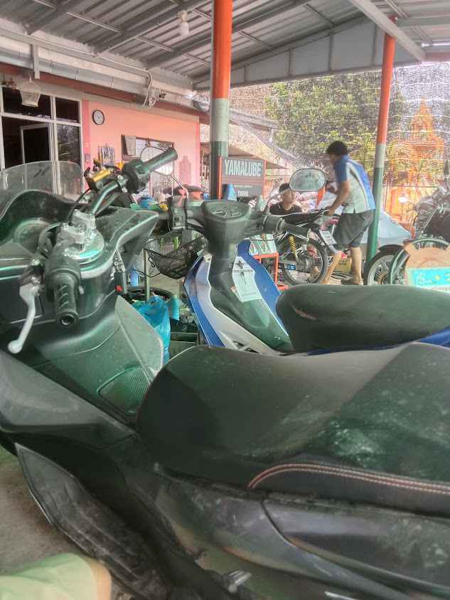 ร้านขายต้นไม้ ตลาดชัฏป่าหวาย - 2