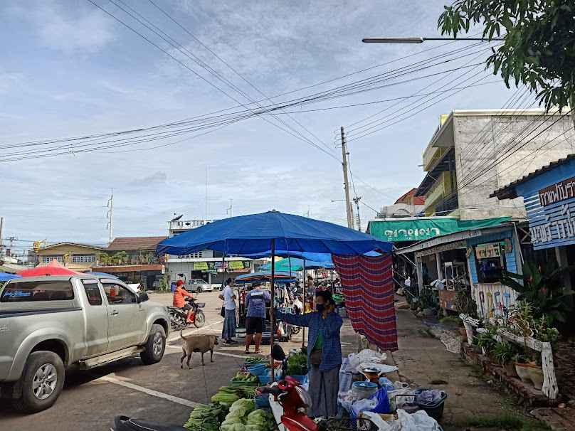 ร้านขายต้นไม้ ตลาดชัฏป่าหวาย - 4
