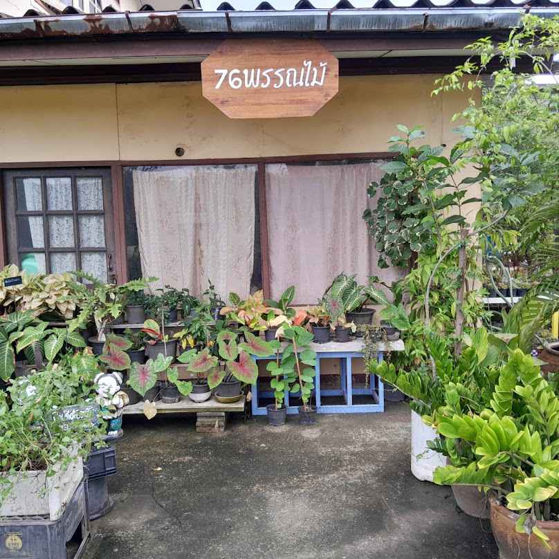 ร้านขายต้นไม้ 76 พรรณไม้