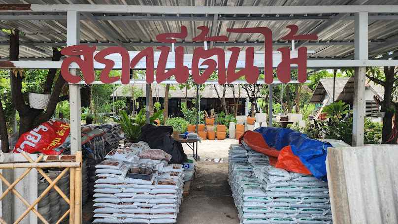 ร้านขายต้นไม้ 76 พรรณไม้ - 4