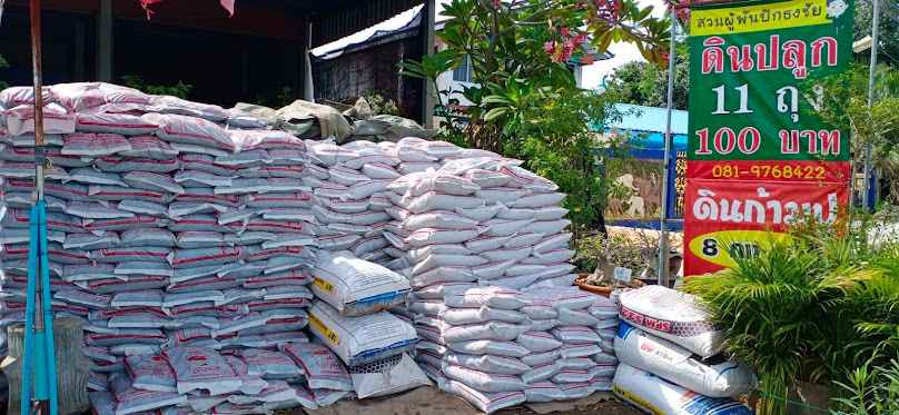 ร้านขายต้นไม้ Chita-Phan -บ้านต้นไม้ - 3