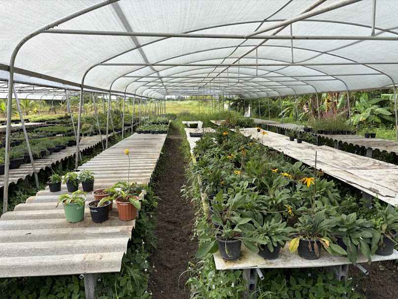 ร้านขายต้นไม้ meter farm sook