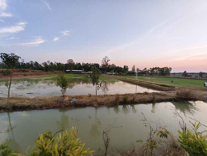 ร้านขายต้นไม้ meter farm sook - 4