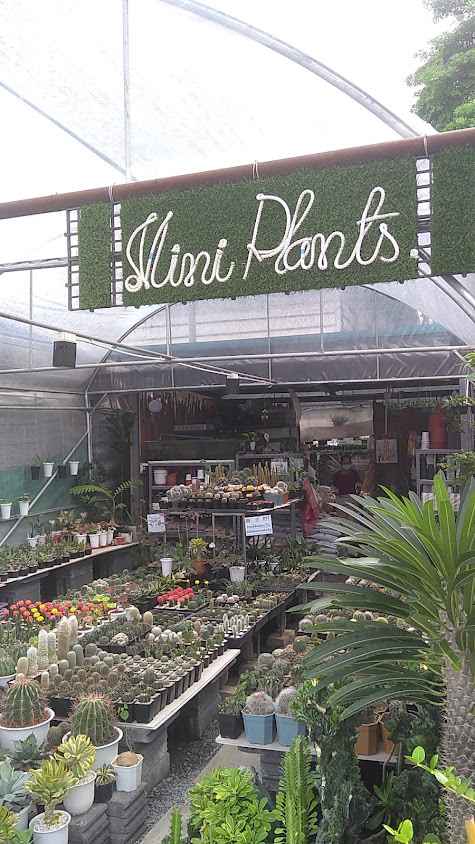ร้านขายอุปกรณ์การเกษตร กรมสวัสดิการ ทอ. - 4