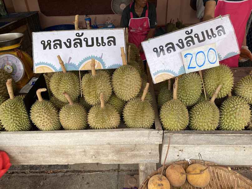 ร้านคุณสมยศ จำหน่ายต้นกล้าทุเรียนหมอนทอง หลงลับแล สวนคุณสมยศ - 2