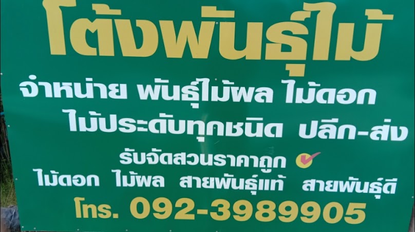 ร้านจนดีจริง พันธุ์ไม้ - 4