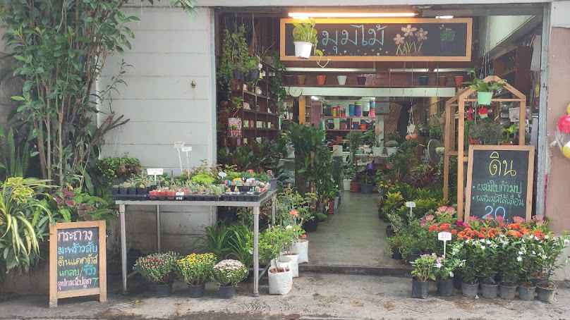 ร้านจอยต้นสมุนไพร - 4