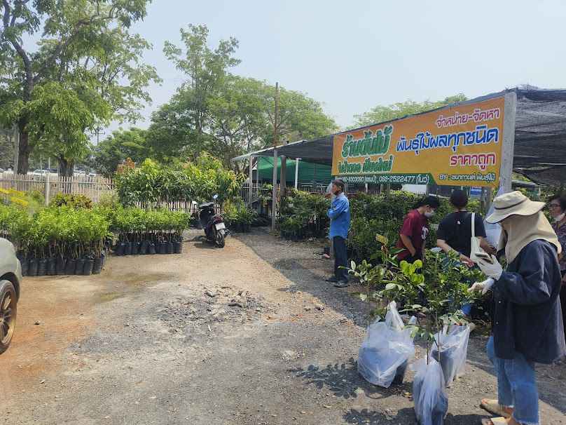 ร้านชนากานต์พันธุ์ไม้ สาขาบ้านต้นผึ้ง - 2