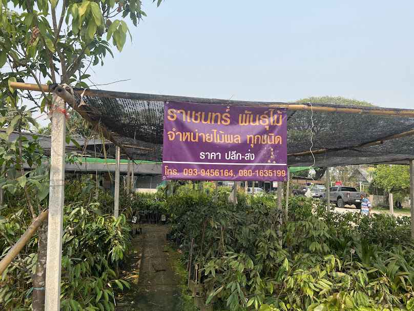 ร้านชลสิทธิ์พันธุ์ไม้