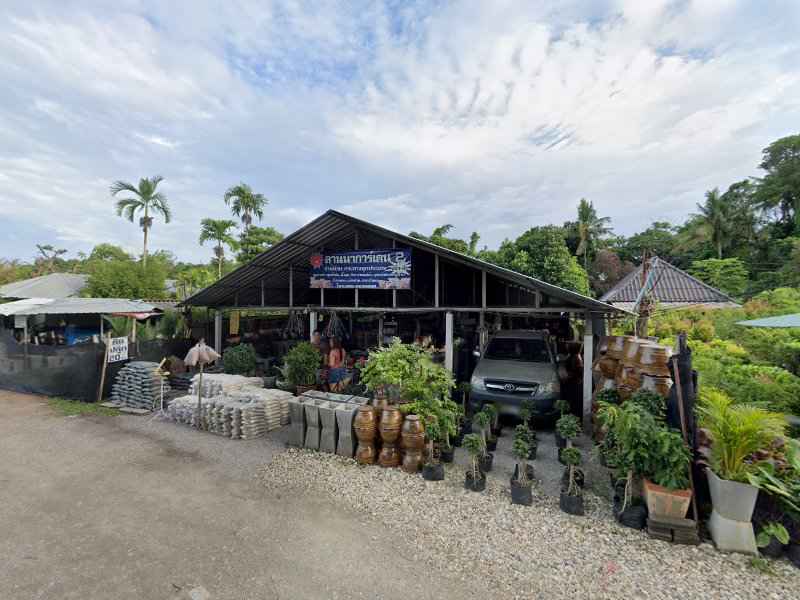 ร้านชลสิทธิ์พันธุ์ไม้ - 4