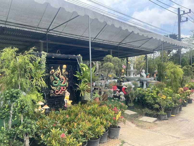 ร้านชัยมณีพันธุ์ไม้ - 2