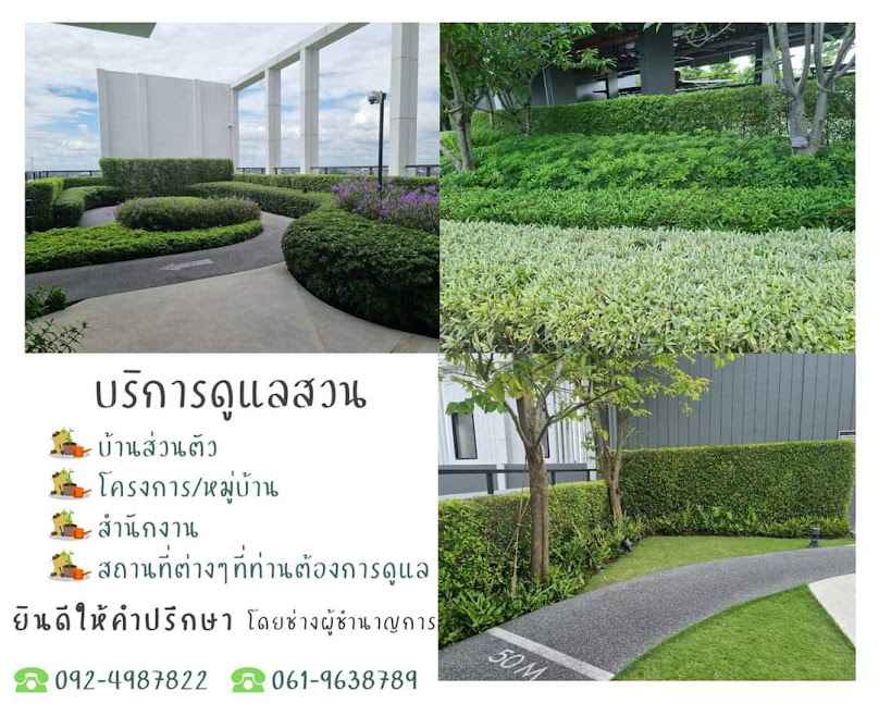 ร้านชัยมณีพันธุ์ไม้ - 3