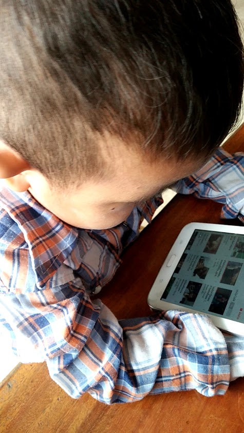 ร้านช่างปลูกวัสดุก่อสร้าง - 3
