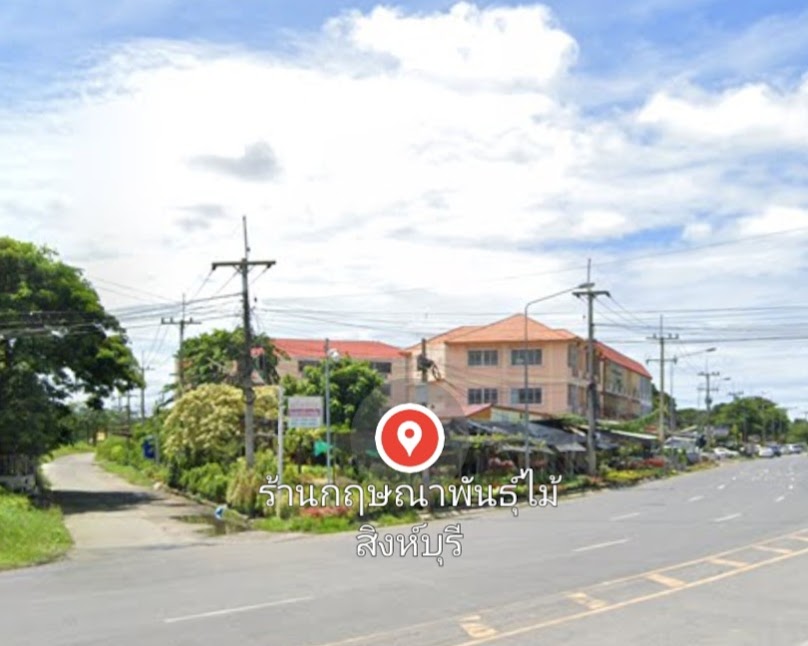 ร้านดอกไม้ราชาวดี สิงห์บุรี - 3