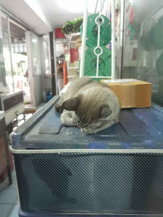 ร้านดอกไม้แม่บ้าน - 2