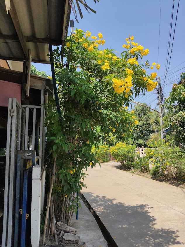 ร้านตัดผมชายนรากรบาร์เบอร์ - 4
