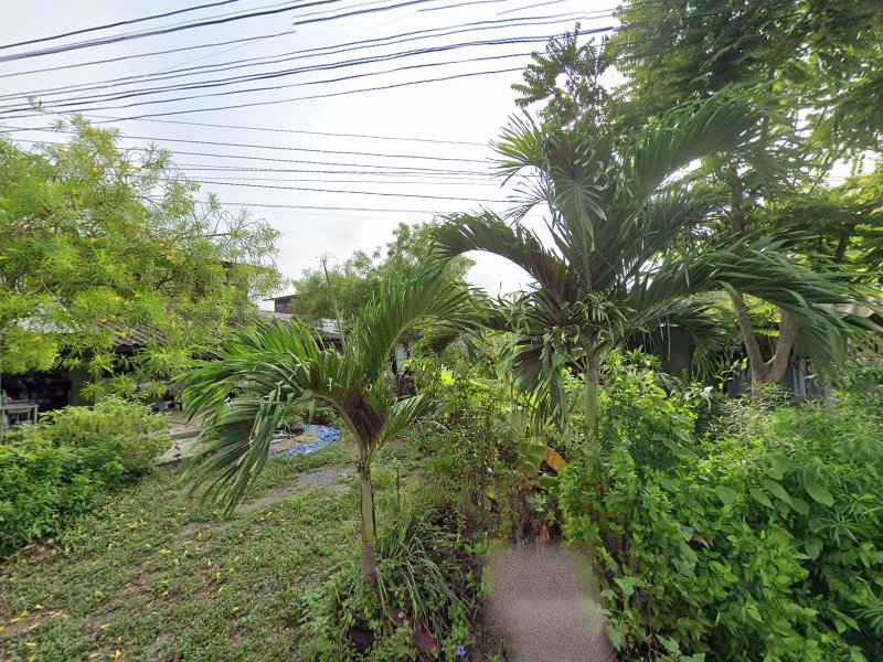 ร้านตัดผมชาย พิทักษ์ บาร์เบอร์ - 2