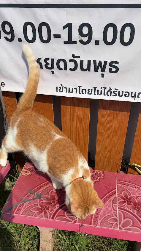 ร้านตัดผมชาย 9Barber House - 3