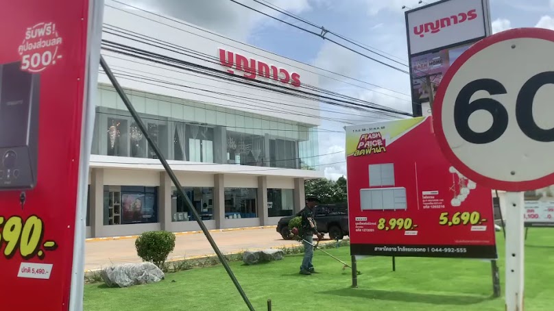 ร้านต้นเงินต้นทอง ตลาดต้นไม้โรงทอ จอหอ - 4