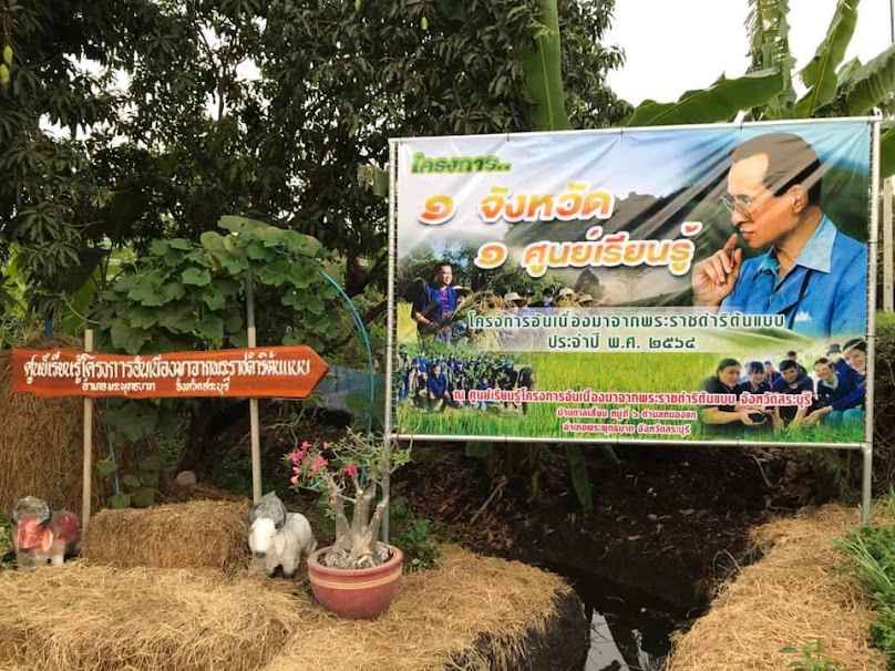 ร้านต้นไม้ของพ่อbyแพรพลอย - 3