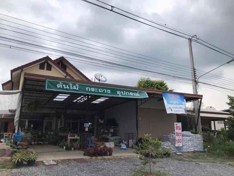 ร้านต้นไม้คลองชะอม (Yada garden trees) - 2