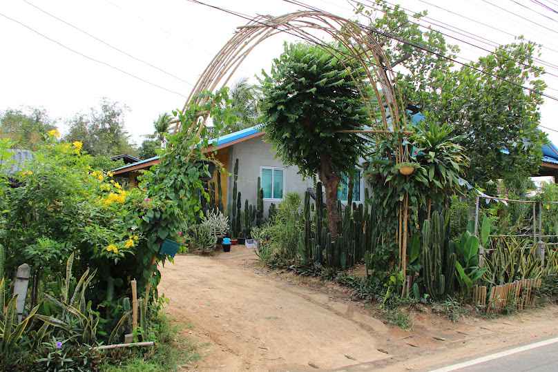 ร้านต้นไม้คุณตุ๋ม