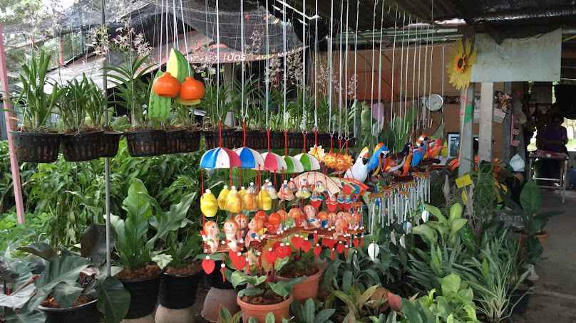 ร้านต้นไม้คุณตุ๋ม - 3