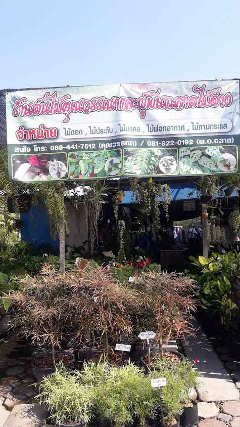 ร้านต้นไม้คุณวรรณา - 2