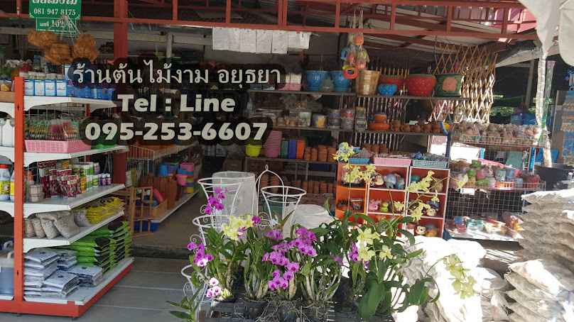 ร้านต้นไม้งาม อยุธยา - 4