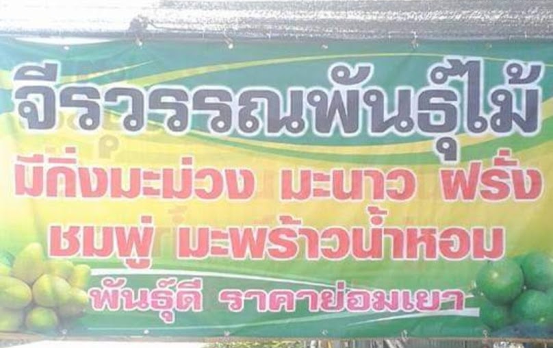 ร้านต้นไม้จีรวรรณพันธุ์ไม้
