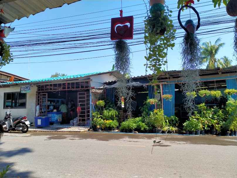 ร้านต้นไม้จ๊ะเอ๋